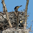 IMG_0854-Crop 1.jpg