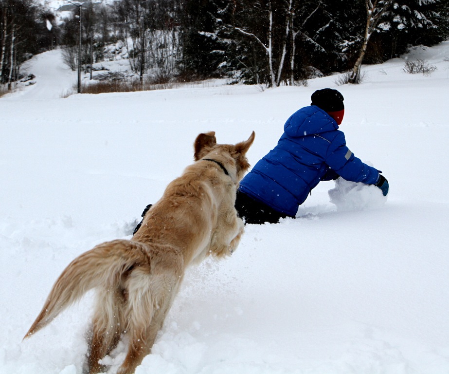 [IMG_0684%255B6%255D.jpg]