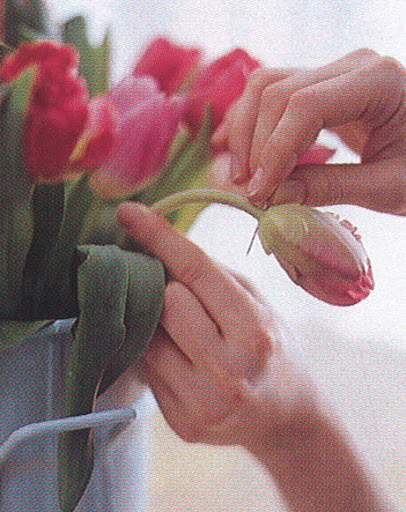 If tulips appear to be failing sooner than expected, try this: insert a pin through the stem just below the head of the flower, then pull it out. The tiny hole will allow air to escape, expediting the flow of water. (The Best of Martha Stewart Living -- Arranging Flowers) If tulips appear to be failing sooner than expected, try this: insert a pin through the stem just below the head of the flower, then pull it out. The tiny hole will allow air to escape, expediting the flow of water. (The Best of Martha Stewart Living -- Arranging Flowers)