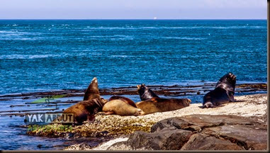 (c)Worldwildadventures-6159 (c)Worldwildadventures-6159