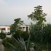 2009 (3).JPG