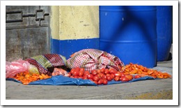 IMG_0931 IMG_0931