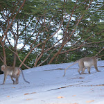 DSC_0763.JPG