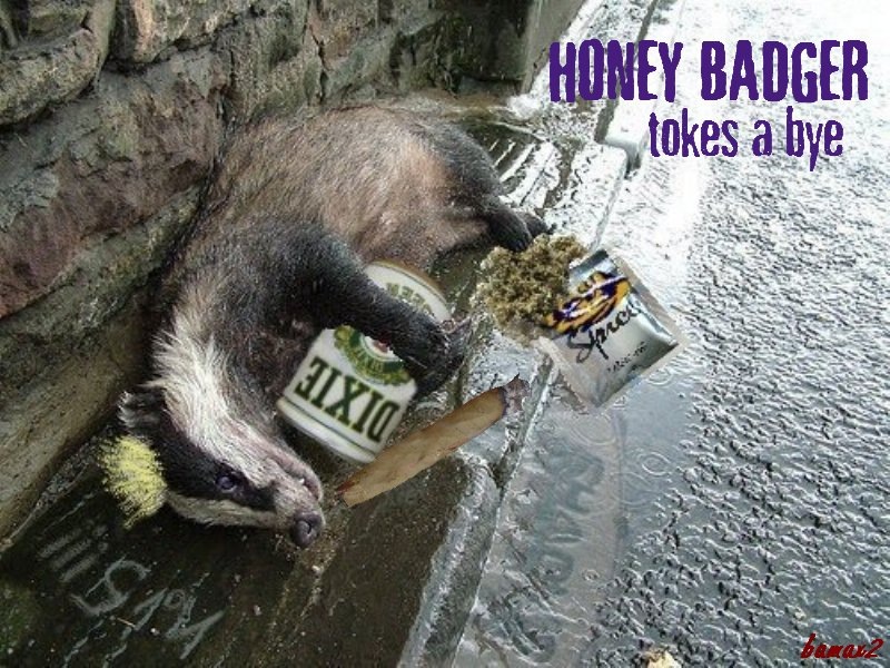 [Honey%2520Badger6%255B4%255D.jpg]