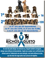 projeto-bichos-do-gueto-01