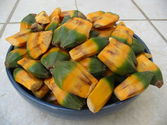 [image%255B3%255D.png]