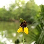 IMG_3284-1.jpg