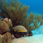 IMG_8845.JPG