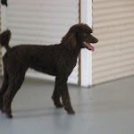 DSCN2316.jpg