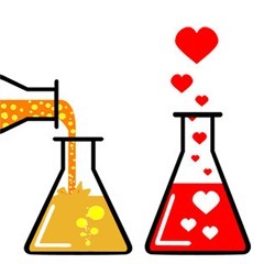 ciencia do amor