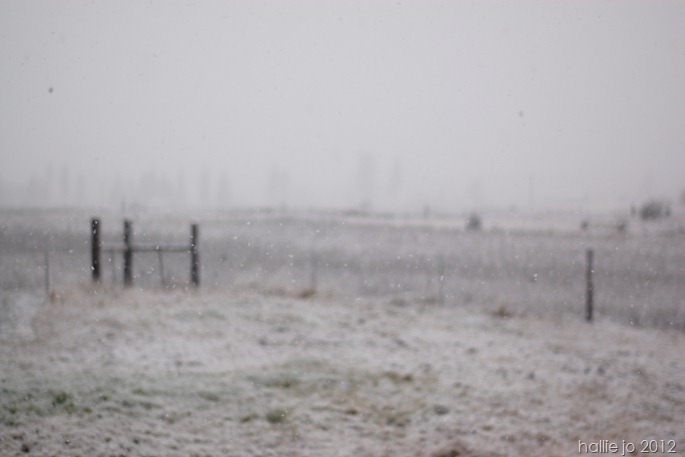 Cold28 Cold28