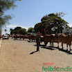 DesfiledeCarrosdeBois2011-059.jpg
