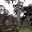Cambodge- Angkor