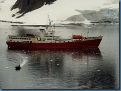 2012-01-31 026 World Cruise South Shetland Islands   January 31 2012 051