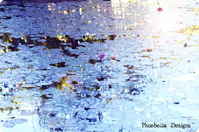 water1