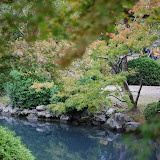 DSC_0255.JPG