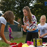 IMGP0154.JPG