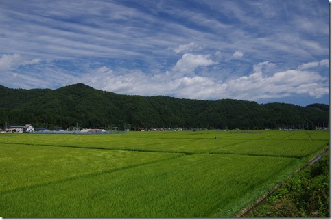 IMGP7629 IMGP7629