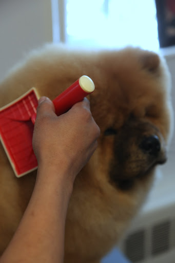 I even enjoyed the brushing out.