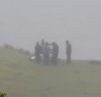 IMG_9326.JPG Photo