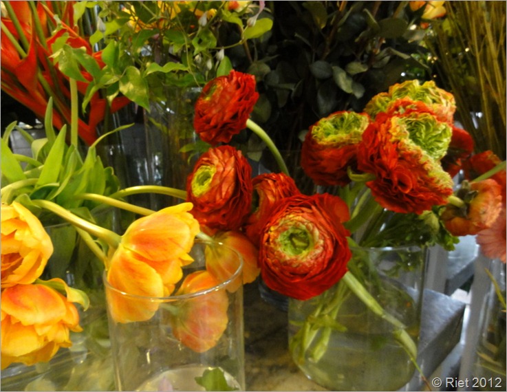 DSC03620 DSC03620