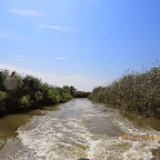 IMG_5740.JPG