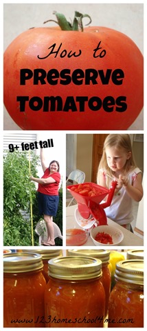 [tomatoes4.jpg]