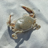 DSCF2647.JPG