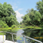 IMG_3507.JPG