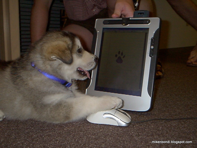 [2001%2520Dougal%2520uses%2520prototype%2520tablet%2520pc%255B3%255D.jpg]