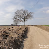 niebieskim szlakiem po podjeździe dsc07180.jpg