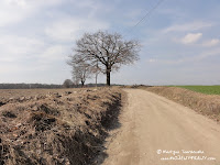 niebieskim szlakiem po podjeździe niebieskim szlakiem po podjeździe