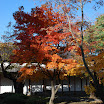 hokkaido_124.jpg