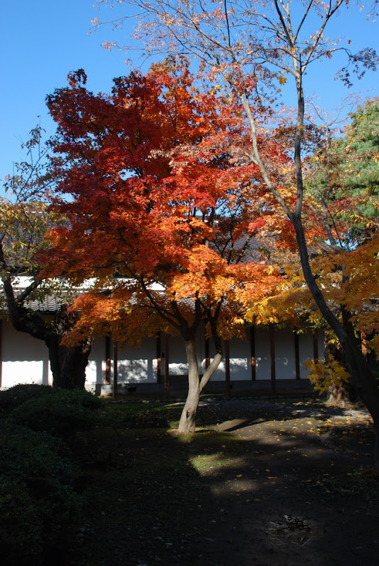 hokkaido_124.jpg