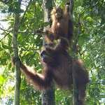 DSC00076.JPG