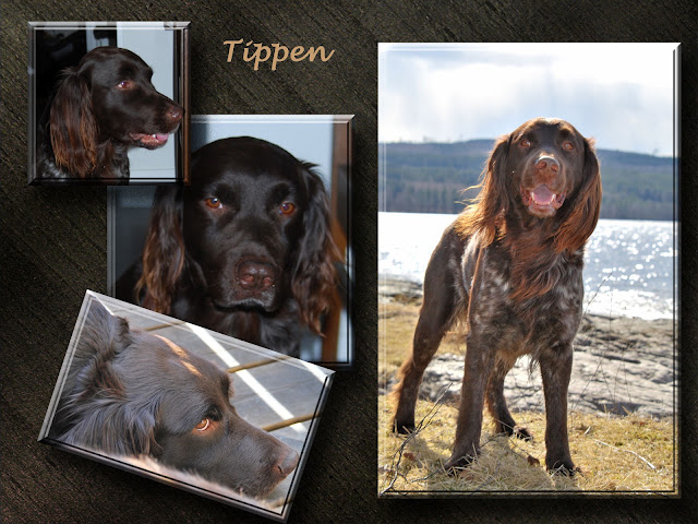 Tippen 2 Tippen 2