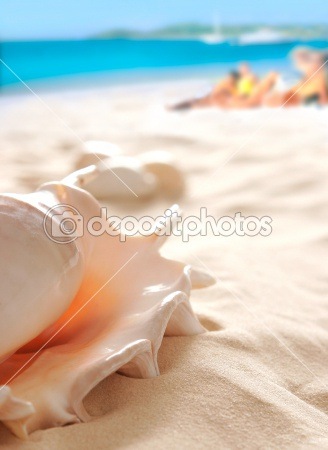 [dep_1858899-Shell-on-the-beach%255B6%255D.jpg]