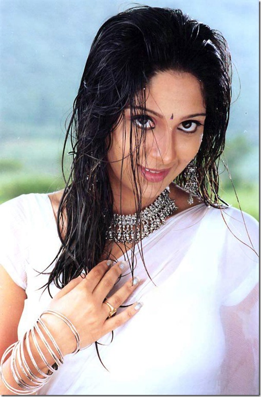 actress_ankita_hot_spicy_in_saree_pics