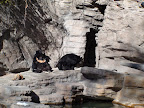 denver_zoo