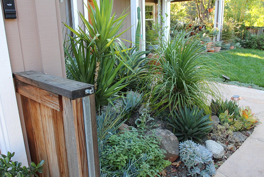 [111029_potted_cacti_on_fence_gone%255B6%255D.jpg]