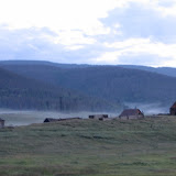 IMG_1154.JPG