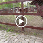 P1090686.MOV