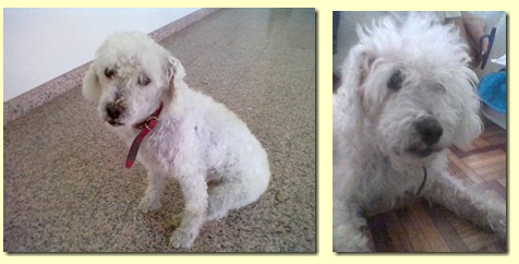 [image%255B4%255D.png]