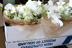 Here, the beautiful floral arrangements! Here, the beautiful floral arrangements!