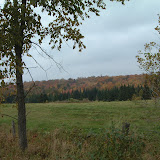 Huron Shores