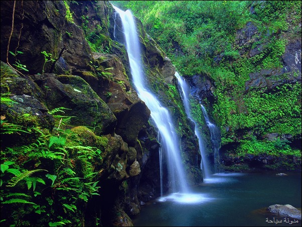 Maui Island Maui Island Maui Island Maui Island