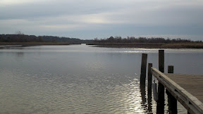 100_2043.JPG