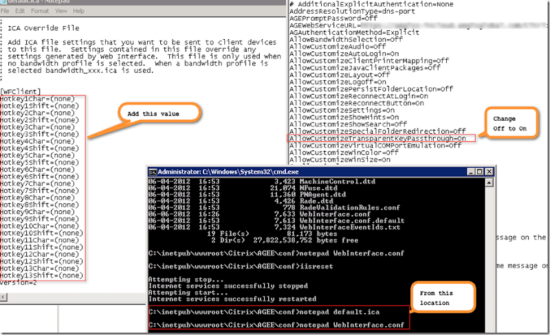 About Roy How To Disable Shift F2 For Citrix Published Desktop HSD 