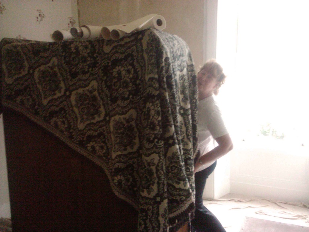 [Jane-Wallpapering-at-61%255B7%255D.jpg]