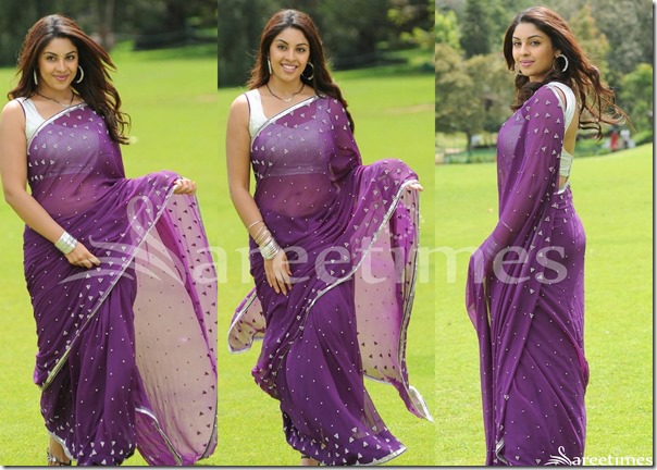 Richa_Gangopadhyay_Embroidery_Saree Richa_Gangopadhyay_Embroidery_Saree